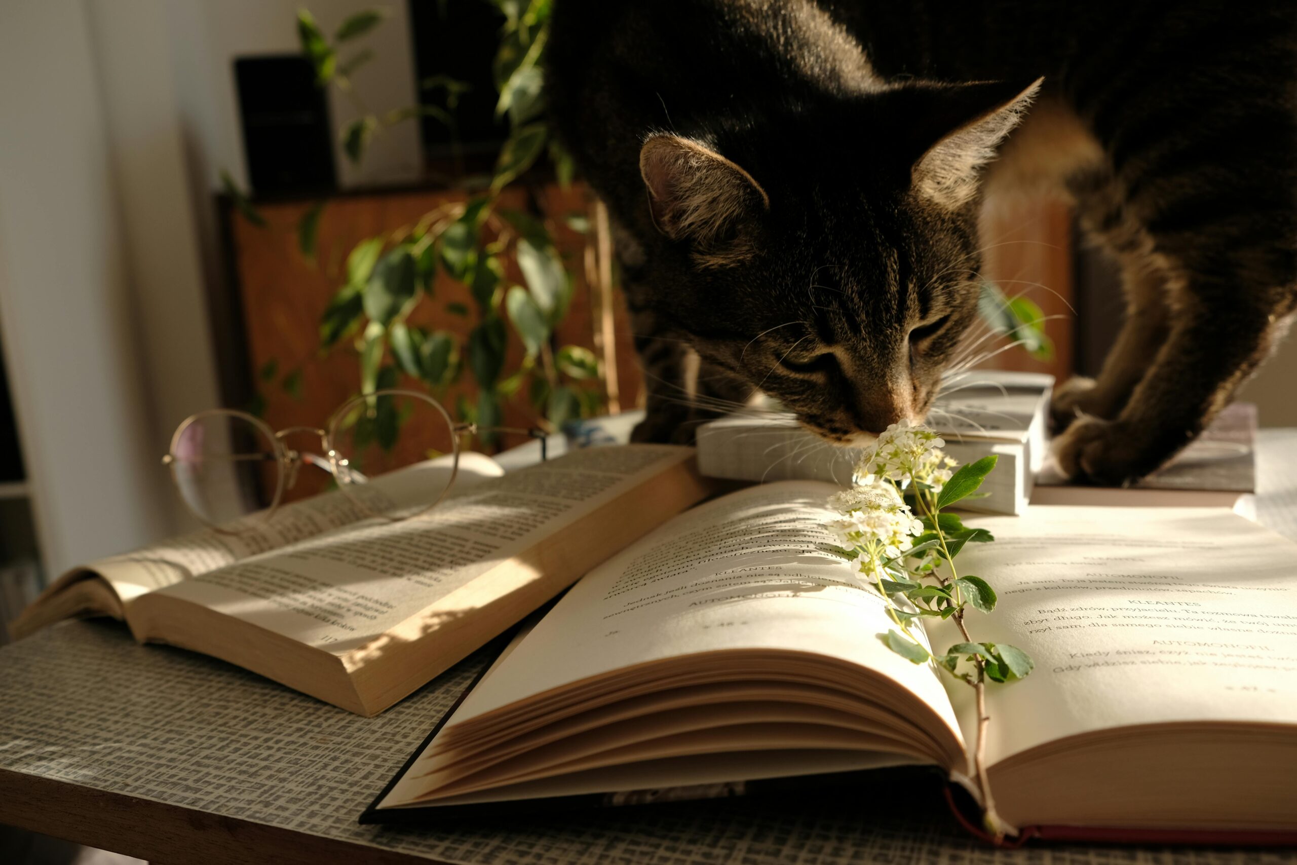 pet-friendly plants for apartments rpm living blog